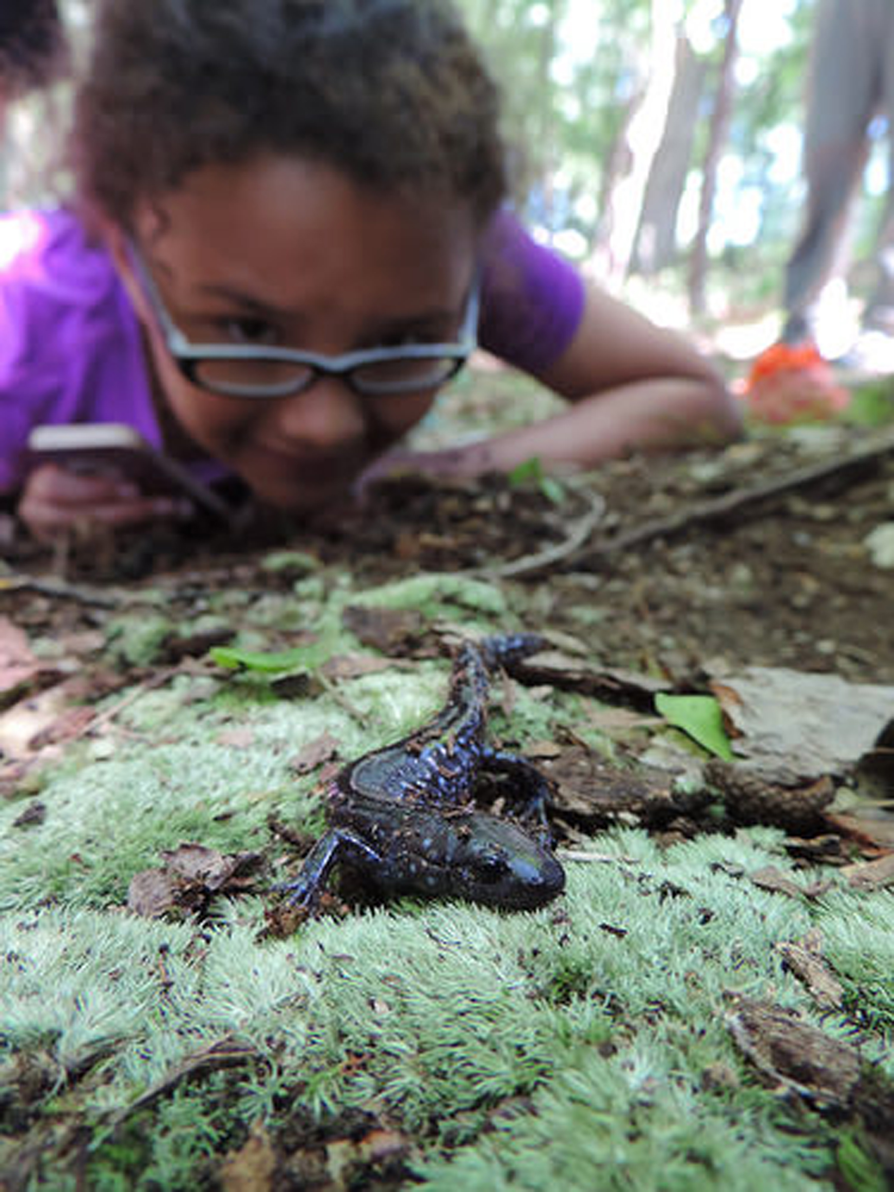 Audubon Sets Day About Amphibians News, Sports, Jobs Post Journal